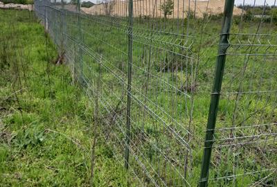 Teren Construcții intravilan de 900 mp, în Cernica - 6