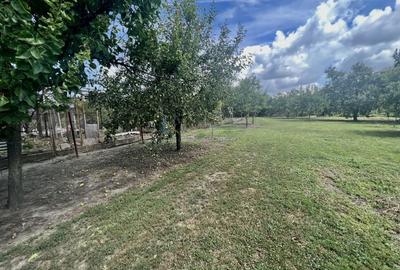 CASA CU TEREN GENEROS- 1.593 MP - 5