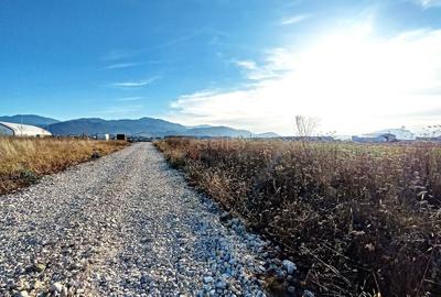 Teren Industrial - 10