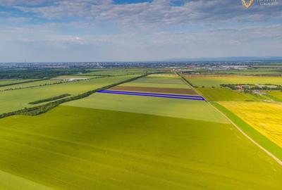 Teren agricol extravilan de 44900 mp, în Aradul Nou - 3