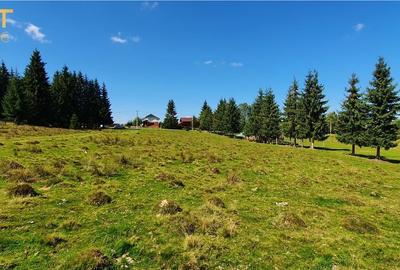 Oportunitare | Teren 1350 mp cu PUZ | Belis - 7