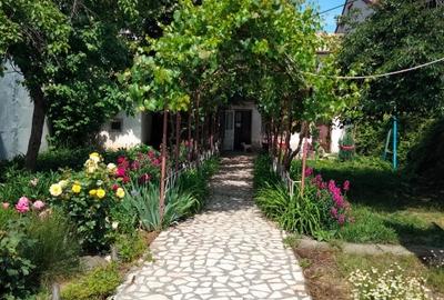 Casă individuală cu 5 camere cu Teren 550 Mp în Colentina - 4