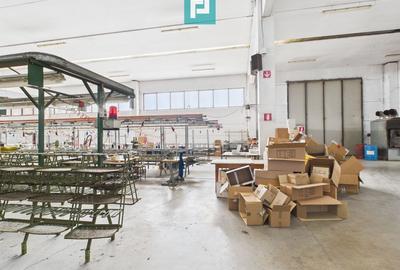 Hală de producție, cu birouri și teren, în Sebiș - 54