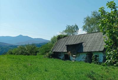 Teren de 1170 mp, în Ruginești - 6