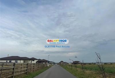 Teren de 10300 mp, în Balotești - 3