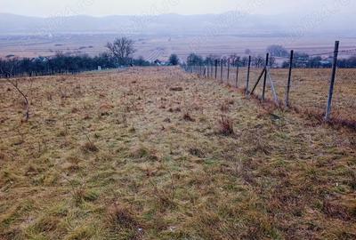 Casa de vanzare + 58 ari de teren intravilan 12 km de Dej, 60 km de Cluj-Napoca - 6