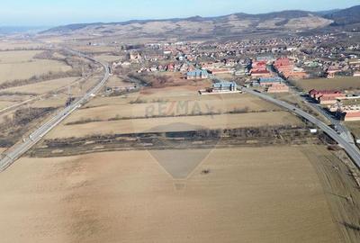 Teren extravilan 10000 mp langa Medias - oportunitate de ... - 1