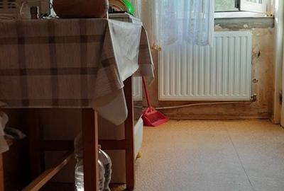 Apartament cu 2 camere în Nufărul - 10