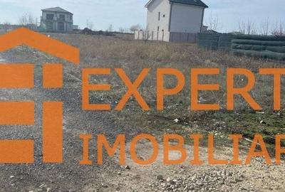 Teren intravilan in KM 5, la VETERANI - PRELUNGIREA TRACTORULUI - 11