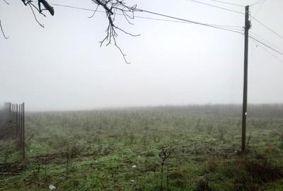 Teren de 6600 mp, în Vânători - 3