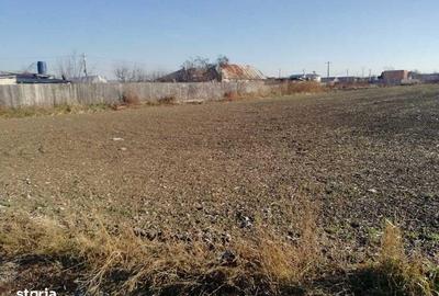 Teren de 6872 mp, în Săucești - 4