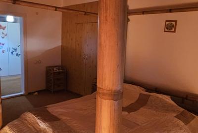 Ciorogarla-casa Sp+ P+M, garaj 2 loc+pod locuibil si casa oaspeti, teren=1097mp - 15