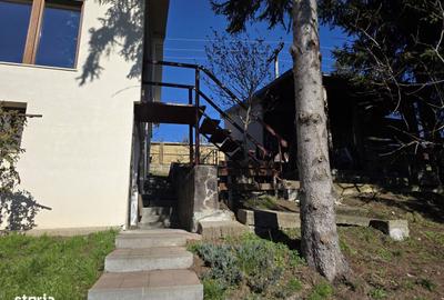 Casă cu 3 camere cu Teren 680 Mp în Podgoria - 5