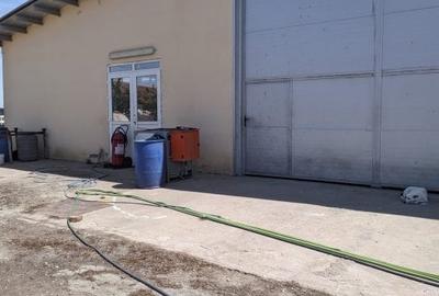 Teren de 95000 mp, în Cerneteaz - 12