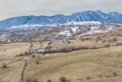 Teren Construcții intravilan de 5602 mp, în Tohanu Nou - 1