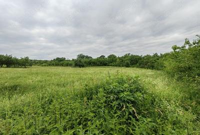 Teren intravilan 18.645 mp in Satul Santamaria de Piatra (sat apartinator Orasului Calan) din Jud HD - 12