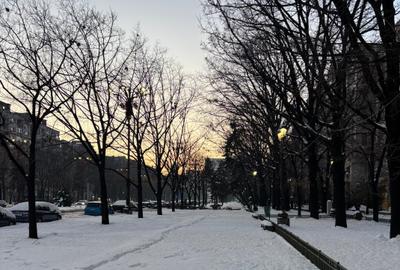 Apartament cu 4 camere decomandat în Unirii - 10