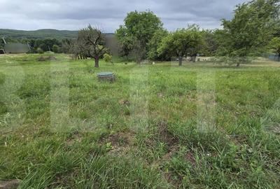 Teren intravilan cu PUZ aprobat, 858 mp, in Faget - 3