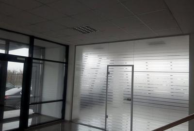 Spațiu comercial, de 360 mp, în Theodor Pallady - 8