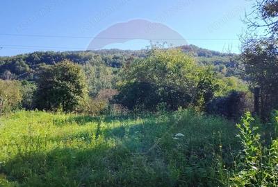 Exclusivitate! Casa cu anexe si teren generos, langa Jibou-Comision 0% - 9