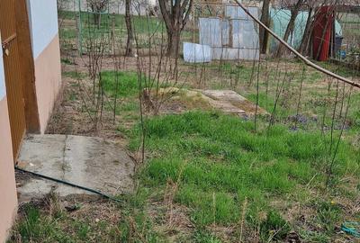 Casă cu 4 camere cu Teren 1500 Mp în Satchinez - 5