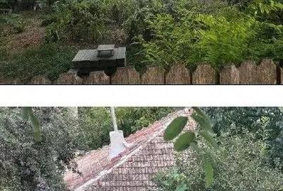 Casa si teren cota parte 1/3, Ivanesti, ID: R2759090 - 4