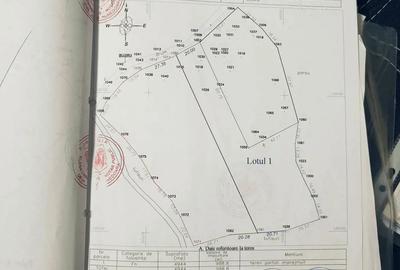 Teren de 4944 mp, în Dobra - 3