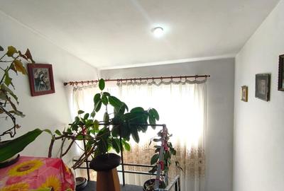Casă cu 7 camere cu Canalizare în Jilava - 10