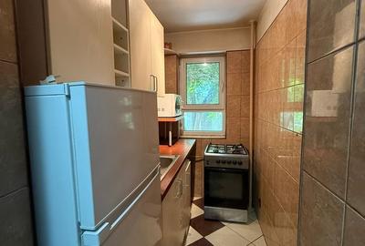 Doamna Ghica, Colentina, la doar 10 minute de parcul Plumbuita - 8