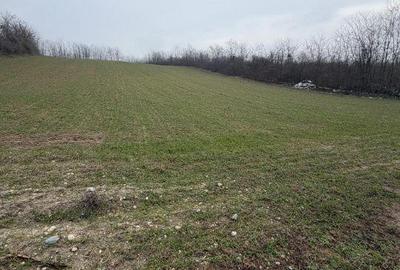 Spațiu comercial, în Central