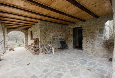 Teren de 30283 mp, în Cazaci - 7