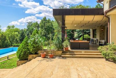 Casă cu 10 camere cu Canalizare în Snagov - 10