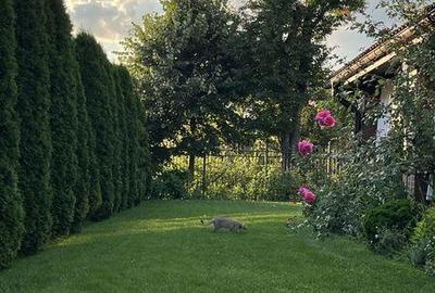 Casă cu 4 camere cu Teren 127 Mp în Groși - 3