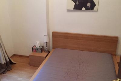 Apartament cu 2 camere decomandat în Grădina Icoanei - 2