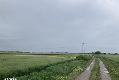 Teren de 4801 mp, în Săbăreni - 4