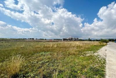 Teren Construcții intravilan de 18134 mp, în Ghimbav Livadă - 6