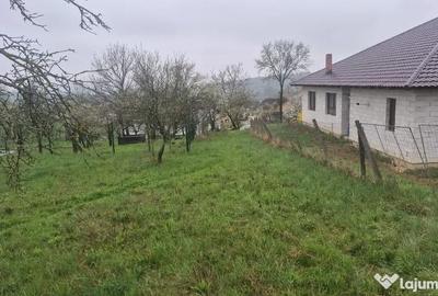 Teren în Groși - 1