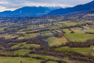 Teren Construcții intravilan de 480 mp, în Tohănița - 9