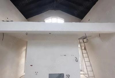 Casă cu Teren 1500 Mp în Variașu Mare - 2