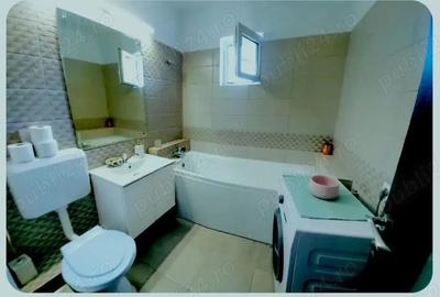 Inchiriere 3 camere Coposu - 3