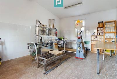 Casă individuală cu 6 camere cu Canalizare în Miniș - 22