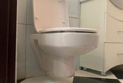 Apartament cu 3 camere decomandat, mobilat în Viziru 3 - 10