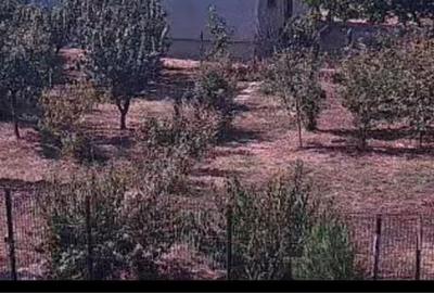 Teren de 503 mp, în Exterior Sud - 4