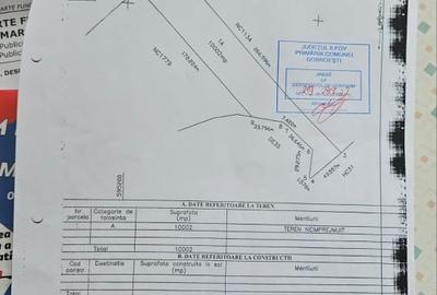 Teren Construcții intravilan de 10000 mp, în Dobroești - 3
