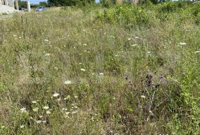 Teren de 1000 mp, în Central - 3