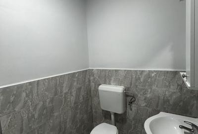 Casă cu 3 camere cu Canalizare în Drăgășani - 13