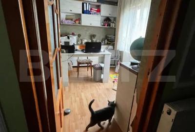 Casă cu 4 camere cu Teren 1500 Mp în Central - 8