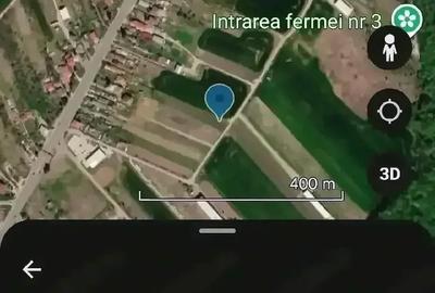 Teren de 3000 mp, în Ciolpani - 1