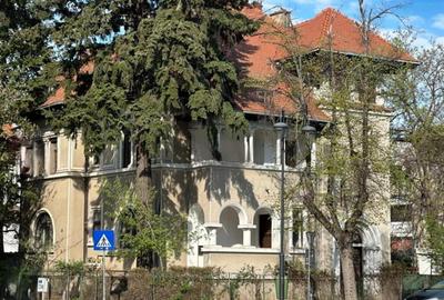 Vila interbelica zona Primaverii I Radu Belles - 3