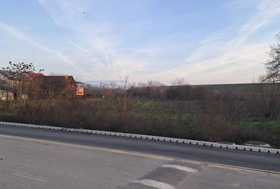 Teren în Cornetu - 5